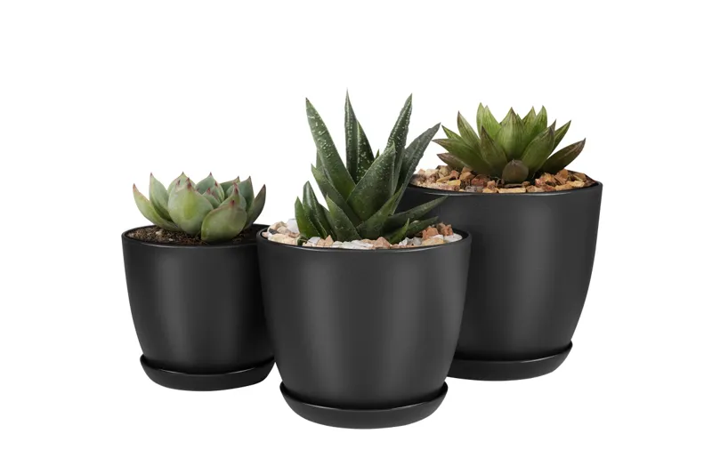 Plant pots white background